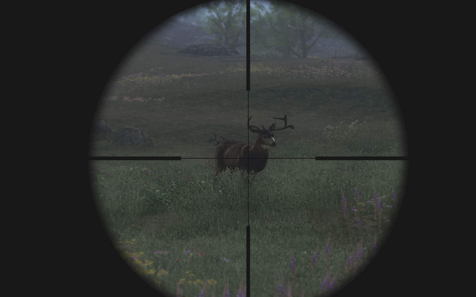 Free Deer Hunting Games On Line